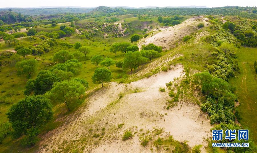 (新華全媒頭條·圖文互動(dòng))(7)京津最近“大沙盆”逆轉(zhuǎn)記