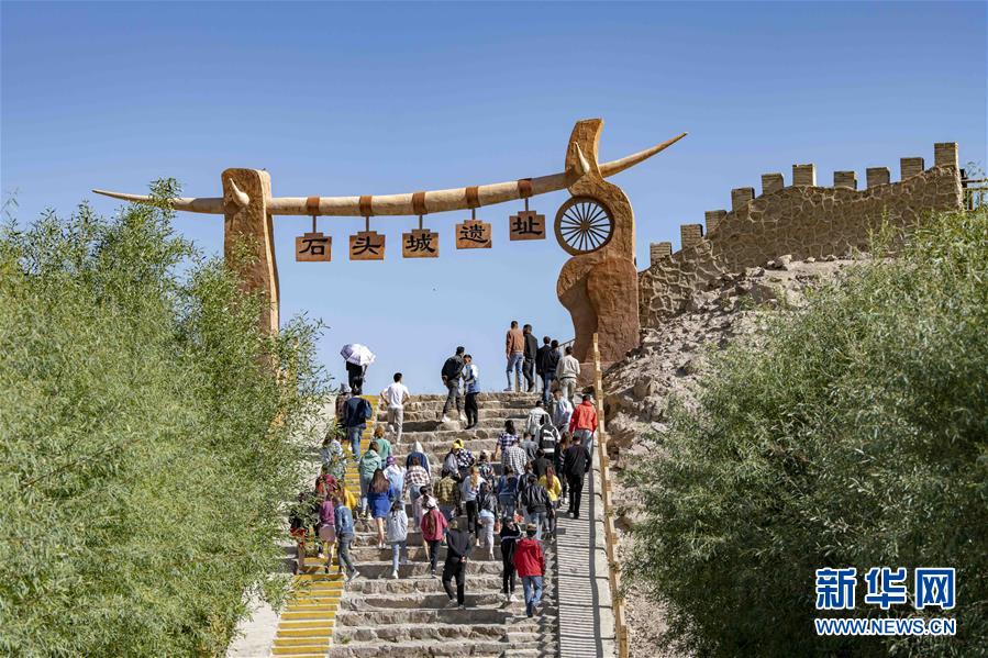 （新華全媒頭條&middot;圖文互動）（11）飛吧，&ldquo;帕米爾雄鷹&rdquo;！