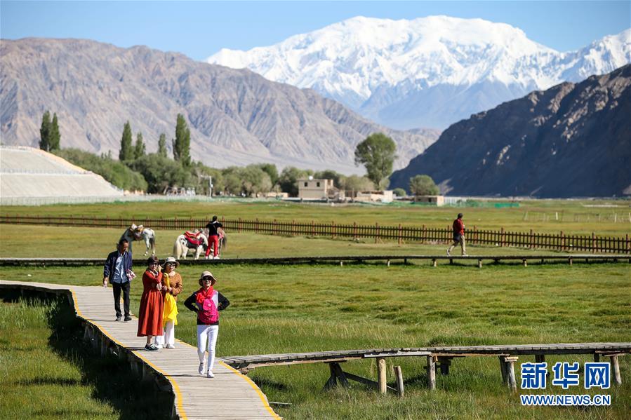 （新華全媒頭條&middot;圖文互動）（15）飛吧，&ldquo;帕米爾雄鷹&rdquo;！