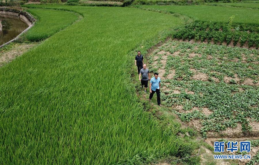 （圖文互動）（6）湘南深山，堅守扶貧一線的黨員之家