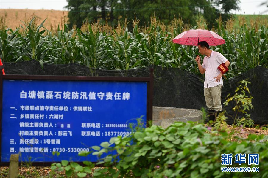 （防汛抗洪&middot;圖文互動(dòng)）（1）&ldquo;險(xiǎn)情不可怕，可怕的是不能及時(shí)發(fā)現(xiàn)險(xiǎn)情&rdquo;&mdash;&mdash;洞庭湖巡堤查險(xiǎn)現(xiàn)場(chǎng)直擊