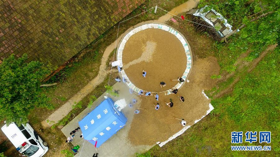 （防汛抗洪&middot;圖文互動(dòng)）（2）&ldquo;險(xiǎn)情不可怕，可怕的是不能及時(shí)發(fā)現(xiàn)險(xiǎn)情&rdquo;&mdash;&mdash;洞庭湖巡堤查險(xiǎn)現(xiàn)場(chǎng)直擊