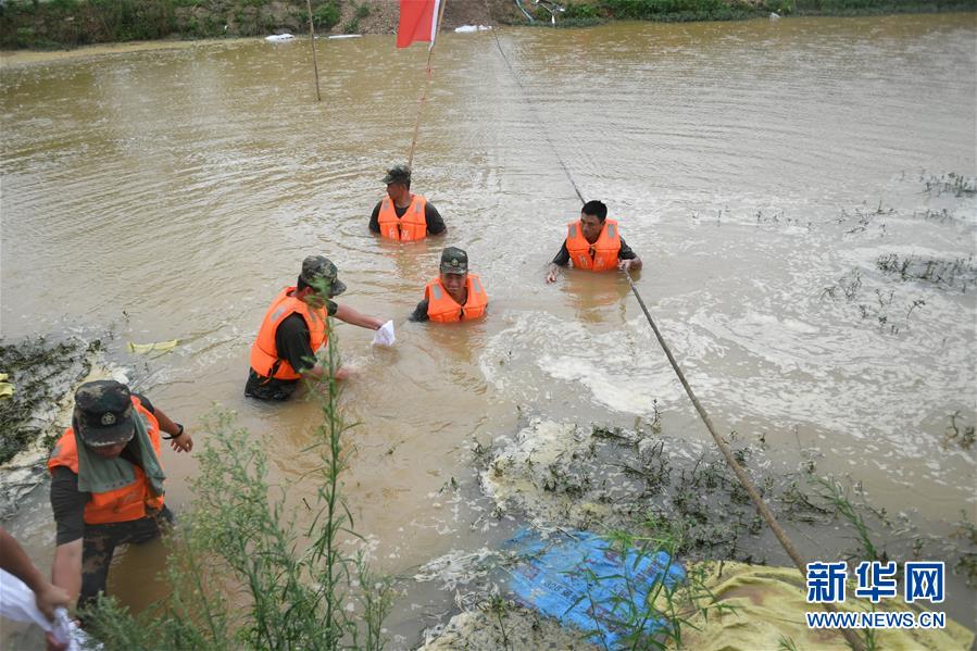 （防汛抗洪&middot;圖文互動）（1）&ldquo;大堤上有了&lsquo;導(dǎo)彈綠&rsquo;，我們老百姓安了心&rdquo;