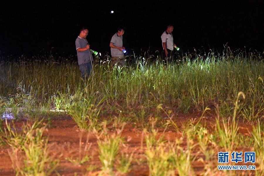 （防汛抗洪&middot;圖文互動）（2）&ldquo;保衛(wèi)家園，誰都不能是旁觀者&rdquo;&mdash;&mdash;夜訪洞庭湖大堤防汛一線