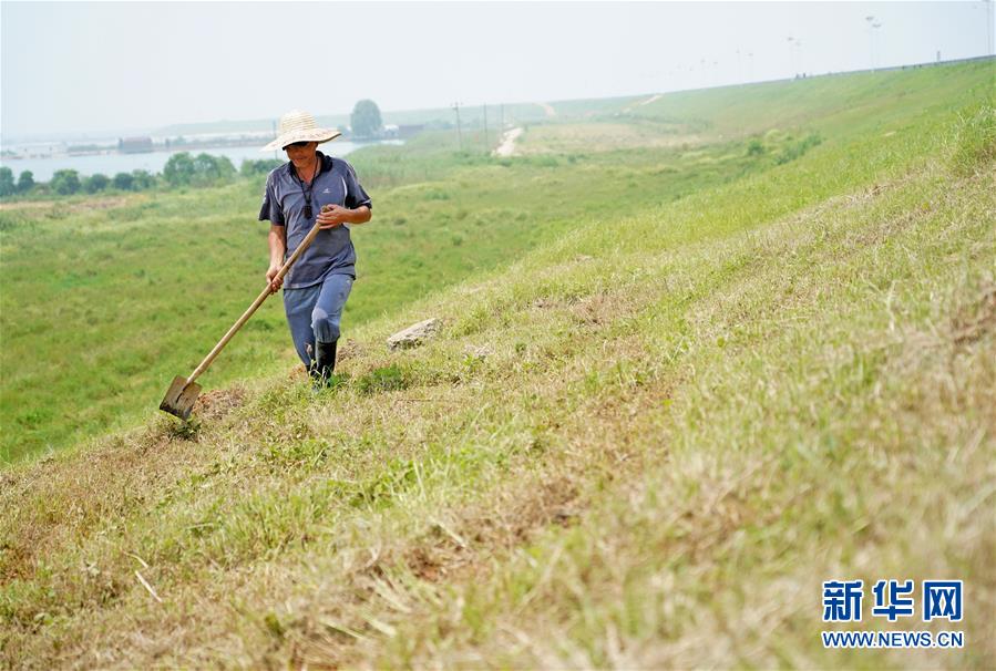 （防汛抗洪&middot;圖文互動(dòng)）（1）特寫(xiě)：康山大堤上的脫貧&ldquo;守堤人&rdquo;