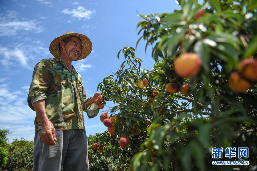 (新華全媒頭條·走向我們的小康生活·圖文互動(dòng))(15)留住鄉(xiāng)愁留住美——千村競(jìng)秀綴瓊州