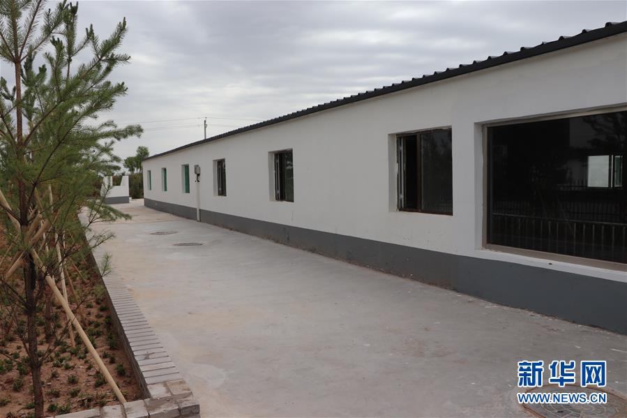 (鄉(xiāng)村振興·圖文互動(dòng))(2)內(nèi)蒙古伊金霍洛旗:自家生豬基地養(yǎng) 環(huán)境好來收入旺