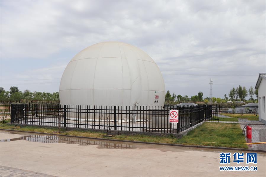 (鄉(xiāng)村振興·圖文互動(dòng))(5)內(nèi)蒙古伊金霍洛旗:自家生豬基地養(yǎng) 環(huán)境好來收入旺