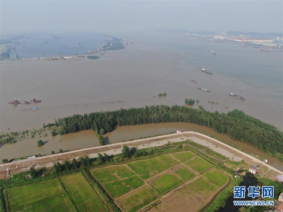 (新華全媒頭條·圖文互動(dòng))(1)鏖戰(zhàn)江新洲