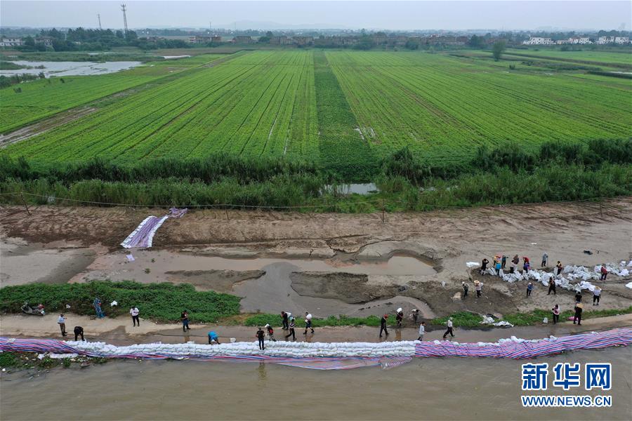 (新華全媒頭條·圖文互動(dòng))(2)鏖戰(zhàn)江新洲