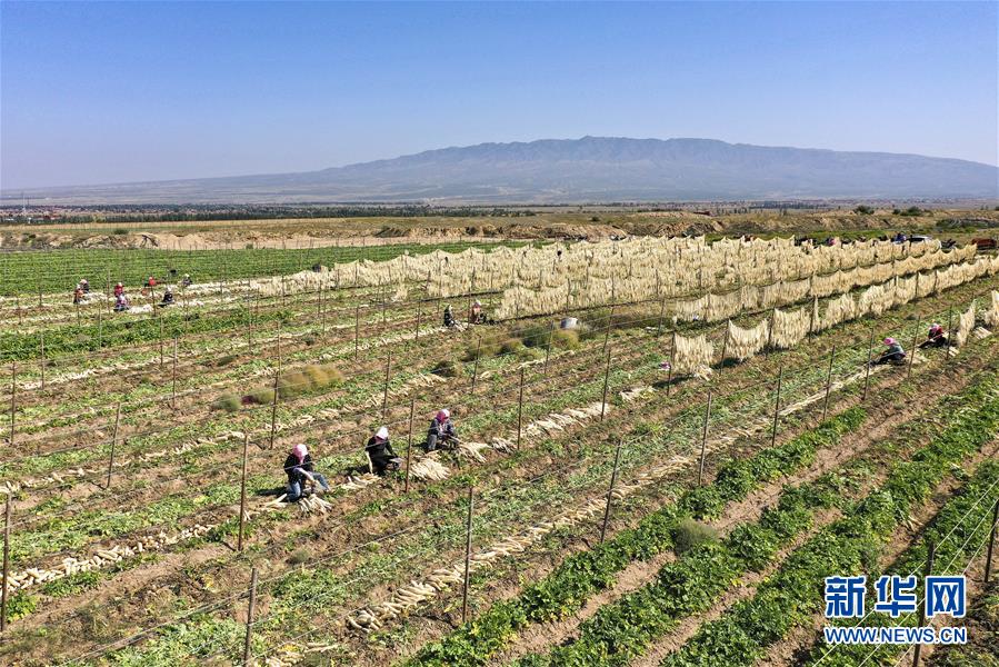 (新華全媒頭條·走向我們的小康生活·圖文互動(dòng))(8)23萬(wàn)人的命運(yùn)轉(zhuǎn)折——我國(guó)最大易地生態(tài)移民安置區(qū)的脫貧密碼