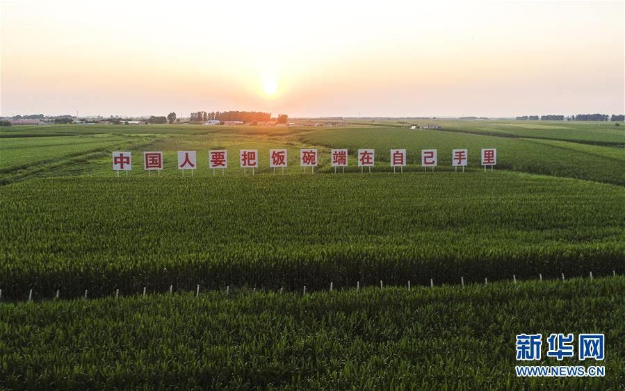 (在習(xí)近平新時(shí)代中國(guó)特色社會(huì)主義思想指引下——新時(shí)代新作為新篇章·習(xí)近平總書(shū)記關(guān)切事·圖文互動(dòng))(1)讓百姓吃得飽還要吃得好——夯實(shí)糧食安全基礎(chǔ)端牢中國(guó)飯碗
