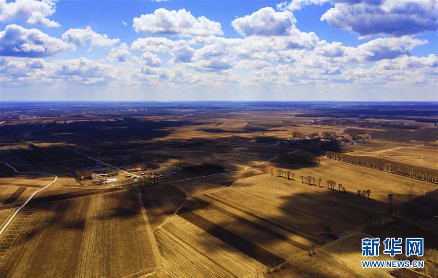 (在習(xí)近平新時(shí)代中國(guó)特色社會(huì)主義思想指引下——新時(shí)代新作為新篇章·習(xí)近平總書(shū)記關(guān)切事·圖文互動(dòng))(2)讓百姓吃得飽還要吃得好——夯實(shí)糧食安全基礎(chǔ)端牢中國(guó)飯碗