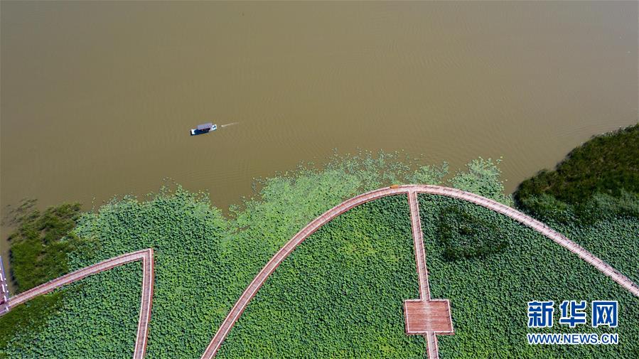 （在習(xí)近平新時(shí)代中國(guó)特色社會(huì)主義思想指引下&mdash;&mdash;新時(shí)代新作為新篇章&middot;習(xí)近平總書(shū)記關(guān)切事&middot;圖文互動(dòng)）（8）綠色映底蘊(yùn)，山水見(jiàn)初心&mdash;&mdash;生態(tài)優(yōu)先、綠色發(fā)展持續(xù)造福群眾美好生活