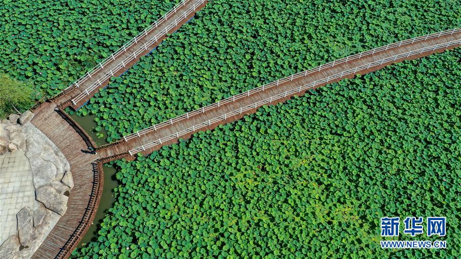 （在習(xí)近平新時(shí)代中國(guó)特色社會(huì)主義思想指引下&mdash;&mdash;新時(shí)代新作為新篇章&middot;習(xí)近平總書(shū)記關(guān)切事&middot;圖文互動(dòng)）（9）綠色映底蘊(yùn)，山水見(jiàn)初心&mdash;&mdash;生態(tài)優(yōu)先、綠色發(fā)展持續(xù)造福群眾美好生活