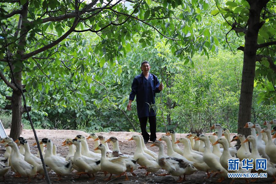 （新華全媒頭條&middot;圖文互動(dòng)）（8）穩(wěn)中求進(jìn) 奮勇前進(jìn)&mdash;&mdash;從中央政治局會(huì)議看中國(guó)經(jīng)濟(jì)走勢(shì)