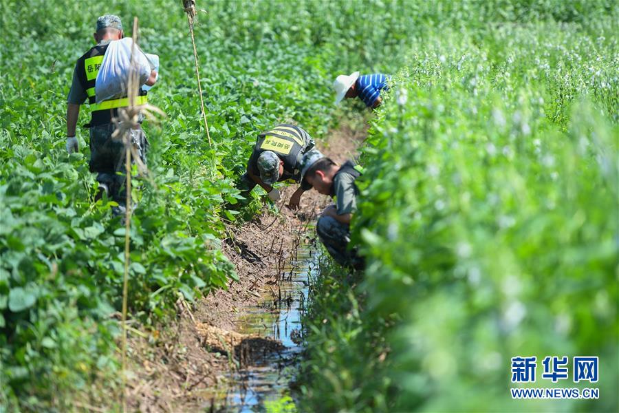 （新華全媒頭條&middot;圖文互動(dòng)）（10）筑起共御水患的鋼鐵長堤&mdash;&mdash;戰(zhàn)洪一線的&ldquo;干群關(guān)系新答卷&rdquo;