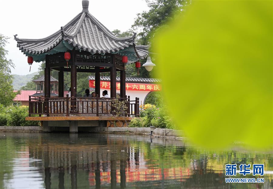 (走向我們的小康生活·圖文互動)(3)從“遼寧藍(lán)”到“花果山”——遼寧推進(jìn)生態(tài)文明建設(shè)剪影