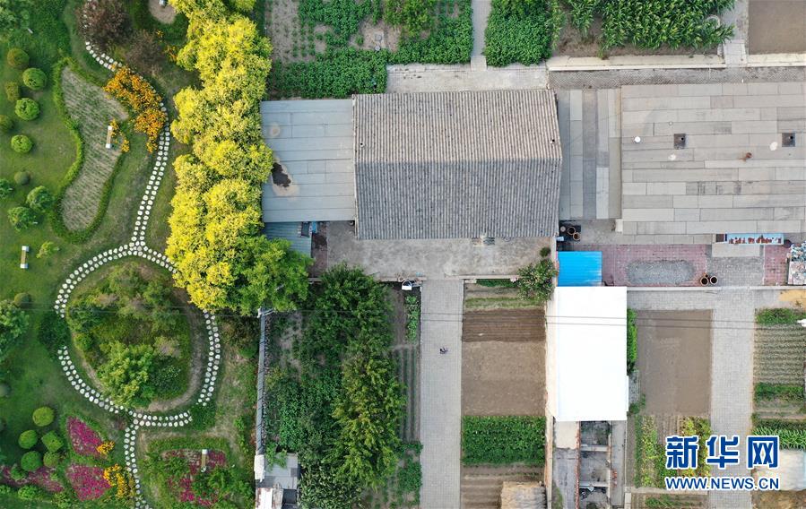 （新華全媒頭條&middot;走向我們的小康生活&middot;圖文互動）（1）&ldquo;南大荒&rdquo;變&ldquo;稻蟹鄉(xiāng)&rdquo;&mdash;&mdash;資源枯竭型城市盤錦的鄉(xiāng)村振興之路