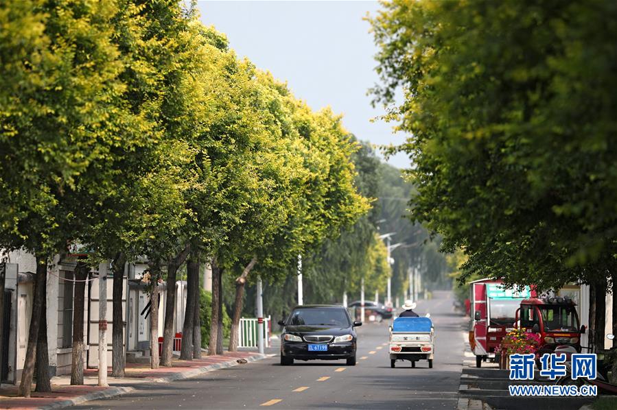（新華全媒頭條&middot;走向我們的小康生活&middot;圖文互動）（3）&ldquo;南大荒&rdquo;變&ldquo;稻蟹鄉(xiāng)&rdquo;&mdash;&mdash;資源枯竭型城市盤錦的鄉(xiāng)村振興之路