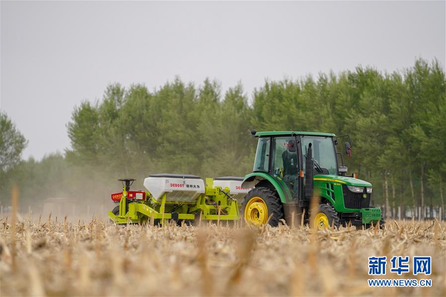 （在習近平新時代中國特色社會主義思想指引下&mdash;&mdash;新時代新作為新篇章&middot;習近平總書記關切事&middot;圖文互動）（7）為黑土加&ldquo;油&rdquo;&mdash;&mdash;&ldquo;耕地中的大熊貓&rdquo;，我們這樣保護
