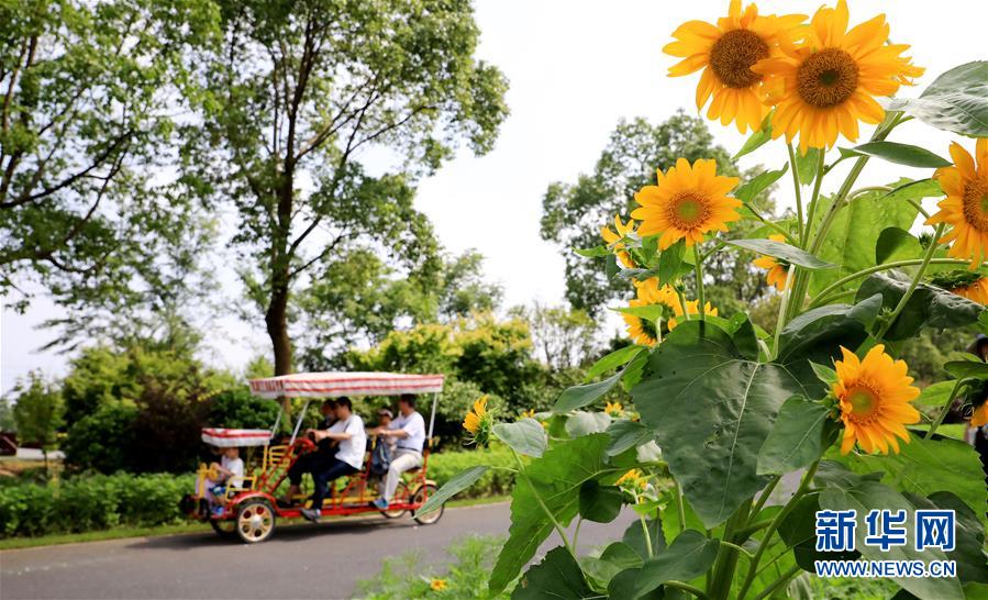 （新華全媒頭條&middot;走向我們的小康生活&middot;圖文互動）（13）城市，讓人民生活更美好