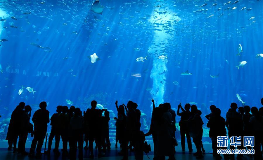 (在習(xí)近平新時(shí)代中國(guó)特色社會(huì)主義思想指引下——新時(shí)代新作為新篇章·習(xí)近平總書(shū)記關(guān)切事·圖文互動(dòng))(9)感受開(kāi)放新魅力——海南自由貿(mào)易港建設(shè)開(kāi)局觀察