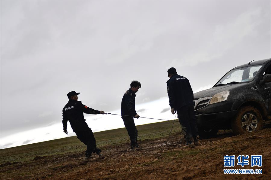 （圖文互動）（10）記者手記：可可西里，&ldquo;挪&rdquo;向&ldquo;藏羚羊大產(chǎn)房&rdquo;的14個(gè)半小時(shí)