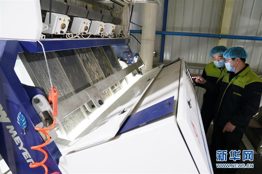 （在習(xí)近平新時(shí)代中國特色社會(huì)主義思想指引下&mdash;&mdash;新時(shí)代新作為新篇章&middot;習(xí)近平總書記關(guān)切事&middot;圖文互動(dòng)）（6）激發(fā)每個(gè)經(jīng)濟(jì)&ldquo;細(xì)胞&rdquo;的活力&mdash;&mdash;千方百計(jì)把市場主體保護(hù)好