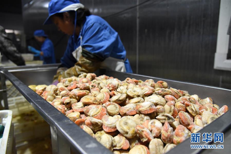 （走向我們的小康生活&middot;圖文互動）（1）長島漁民的扇貝喜事：從請客求人買到供不應(yīng)求