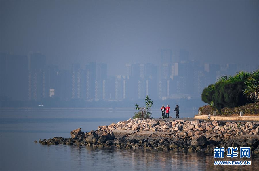 （新華全媒頭條&middot;圖文互動(dòng)）（10）鯤鵬展翅九萬(wàn)里&mdash;&mdash;深圳奮力跑好建設(shè)中國(guó)特色社會(huì)主義先行示范區(qū)&ldquo;第一程&rdquo;