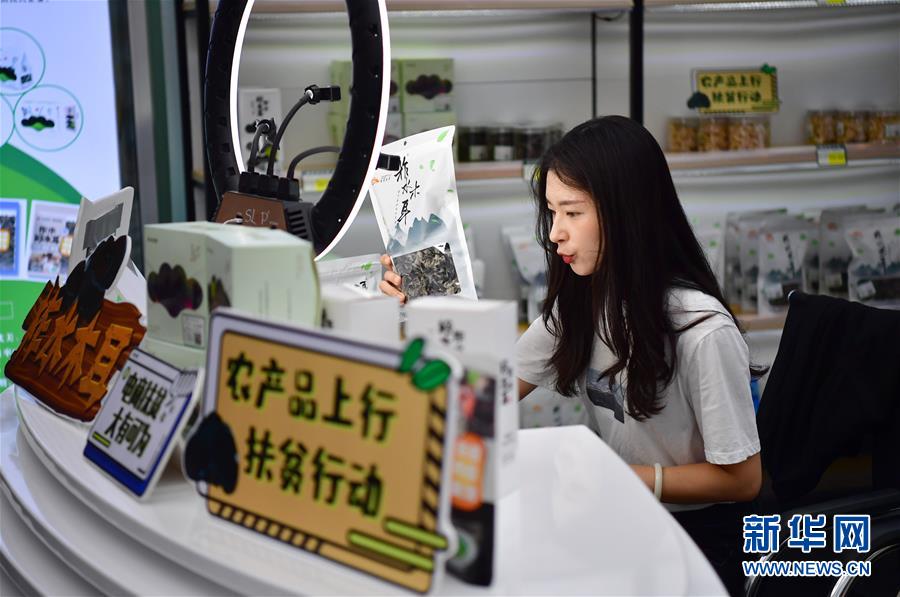 （走向我們的小康生活&middot;圖文互動(dòng)）（3）綠了青山，紅了日子&mdash;&mdash;秦巴山區(qū)群眾繪出小康&ldquo;調(diào)色板&rdquo;