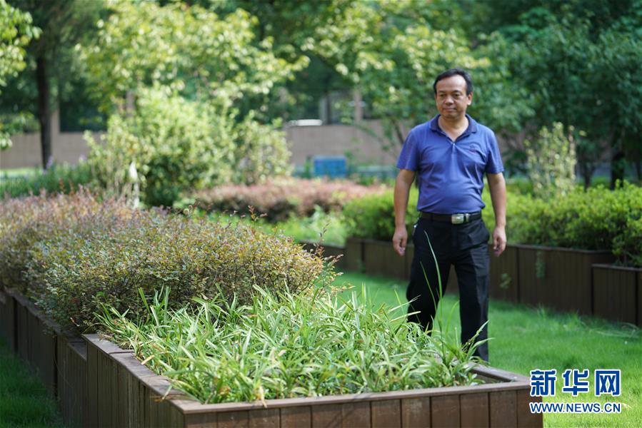 （圖文互動(dòng)）（1）&ldquo;綠灰白&rdquo;破解城市內(nèi)澇之&ldquo;囧&rdquo;