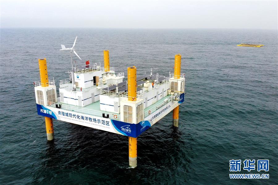 （圖文互動）（1）把&ldquo;試驗田&rdquo;種成&ldquo;高產(chǎn)田&rdquo;&mdash;&mdash;記中國（山東）自由貿(mào)易試驗區(qū)設(shè)立一周年