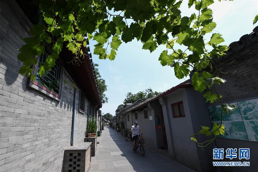（走向我們的小康生活&middot;圖文互動(dòng)）（1）小橋、流水、書香、人家&mdash;&mdash;老北京胡同里的恬靜棲居