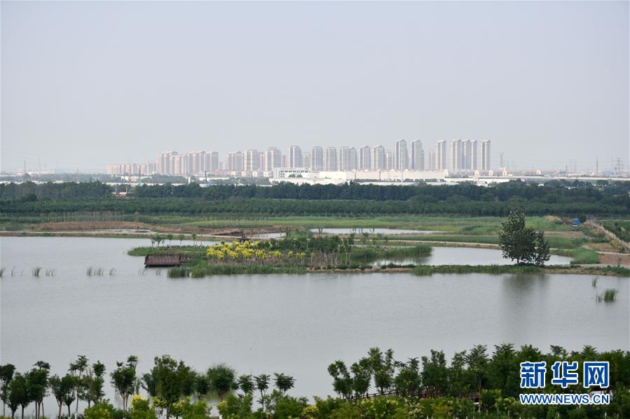 （新華全媒頭條&middot;走向我們的小康生活&middot;圖文互動(dòng)）（2）沽水流霞正美好&mdash;&mdash;天津&ldquo;工筆&rdquo;繪就&ldquo;小康圖&rdquo;