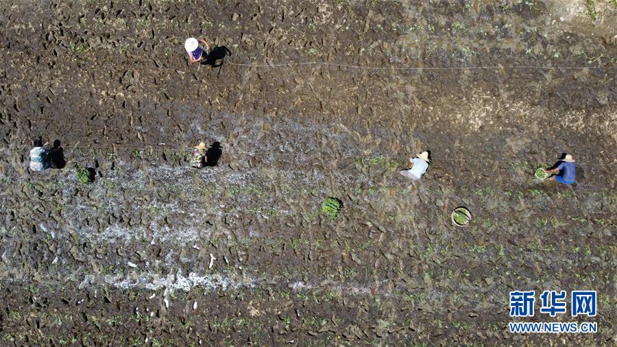 （在習(xí)近平新時(shí)代中國(guó)特色社會(huì)主義思想指引下&mdash;&mdash;新時(shí)代新作為新篇章&middot;習(xí)近平總書(shū)記關(guān)切事&middot;圖文互動(dòng)）（8）一切為了人民&mdash;&mdash;寫(xiě)在全國(guó)防汛救災(zāi)取得階段性重大勝利之時(shí)