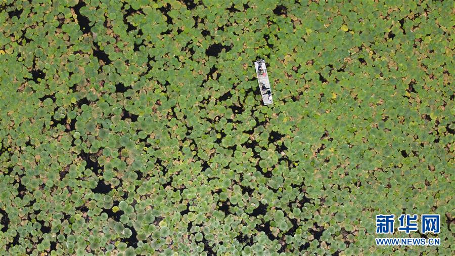 （在習(xí)近平新時(shí)代中國(guó)特色社會(huì)主義思想指引下&mdash;&mdash;新時(shí)代新作為新篇章&middot;習(xí)近平總書(shū)記關(guān)切事&middot;圖文互動(dòng)）（12）一切為了人民&mdash;&mdash;寫(xiě)在全國(guó)防汛救災(zāi)取得階段性重大勝利之時(shí)