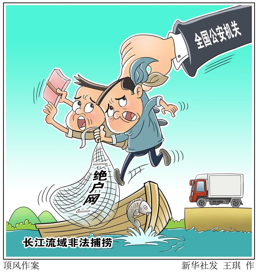 （圖表&middot;漫畫）［新華視點］頂風(fēng)作案