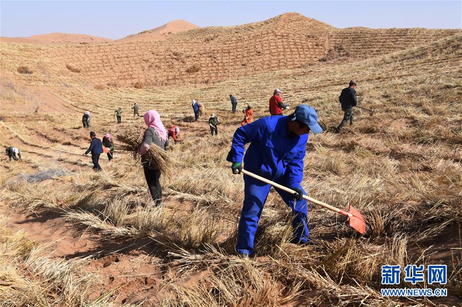 （新華全媒頭條&middot;走向我們的小康生活&middot;圖文互動）（6）&ldquo;苦甲&rdquo;不再，&ldquo;甘味&rdquo;綿長&mdash;&mdash;脫貧攻堅的甘肅味道