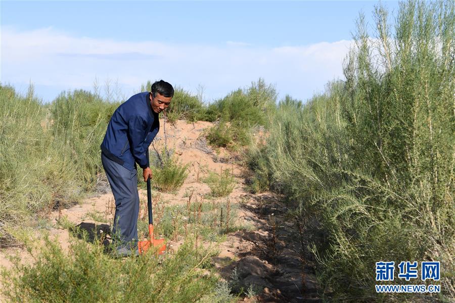 （新華全媒頭條&middot;走向我們的小康生活&middot;圖文互動）（8）&ldquo;苦甲&rdquo;不再，&ldquo;甘味&rdquo;綿長&mdash;&mdash;脫貧攻堅的甘肅味道