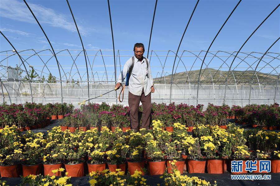 （新華全媒頭條&middot;走向我們的小康生活&middot;圖文互動）（10）&ldquo;苦甲&rdquo;不再，&ldquo;甘味&rdquo;綿長&mdash;&mdash;脫貧攻堅的甘肅味道