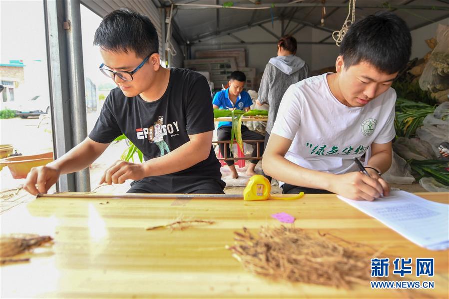 (新華全媒頭條·圖文互動(dòng))(8)為現(xiàn)代農(nóng)業(yè)探新路——來自吉林梨樹的田野報(bào)告