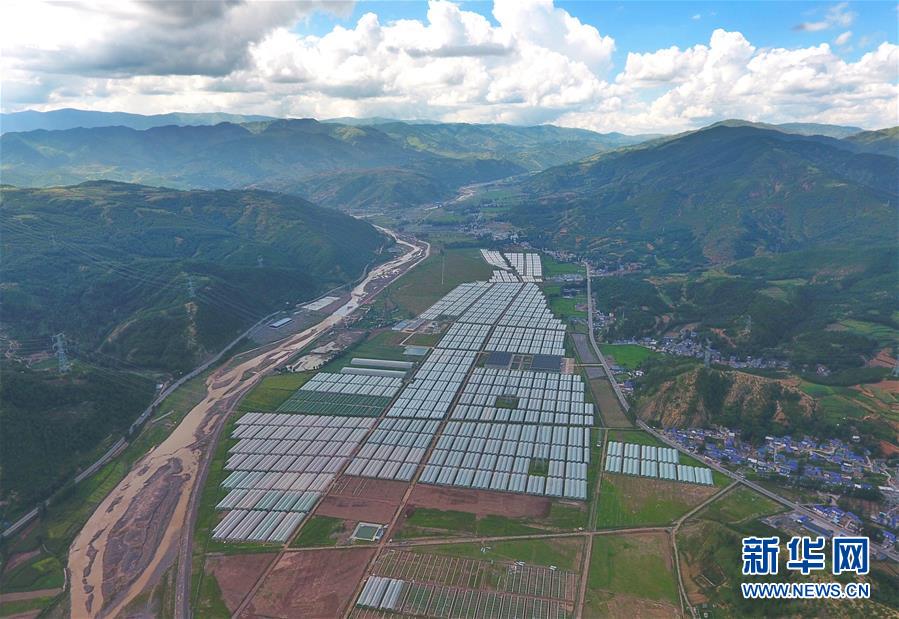 （新華全媒頭條&middot;決戰(zhàn)決勝脫貧攻堅(jiān)&middot;督戰(zhàn)未摘帽貧困縣&middot;圖文互動(dòng)）（10）苦蕎花開大涼山&mdash;&mdash;四川7個(gè)未摘帽縣脫貧攻堅(jiān)一線觀察