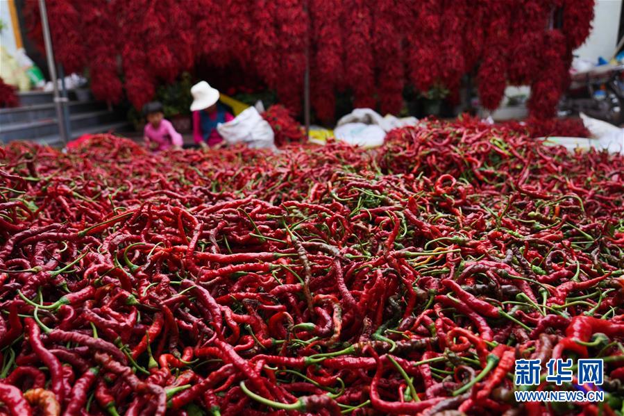 （走向我們的小康生活&middot;決戰(zhàn)決勝脫貧攻堅(jiān)&middot;圖文互動(dòng)）（7）甘青交界處的跨越&mdash;&mdash;保安族、撒拉族的脫貧故事 