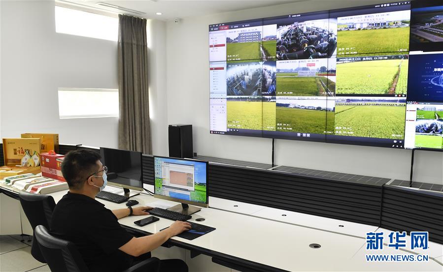 （新華全媒頭條&middot;走向我們的小康生活&middot;圖文互動(dòng)）（4）黑土地上是我家&mdash;&mdash;在吉林，一瞥中國(guó)東北鄉(xiāng)村美麗未來