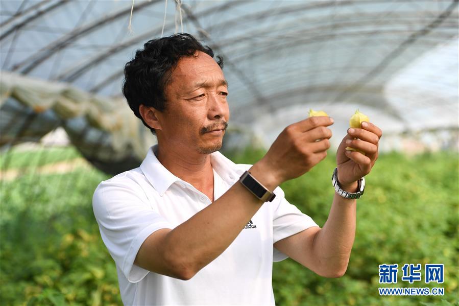 （新華全媒頭條&middot;走向我們的小康生活&middot;圖文互動(dòng)）（7）黑土地上是我家&mdash;&mdash;在吉林，一瞥中國(guó)東北鄉(xiāng)村美麗未來