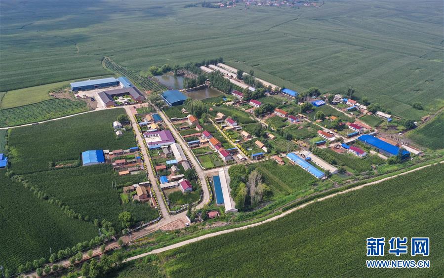 （新華全媒頭條&middot;走向我們的小康生活&middot;圖文互動(dòng)）（12）黑土地上是我家&mdash;&mdash;在吉林，一瞥中國(guó)東北鄉(xiāng)村美麗未來