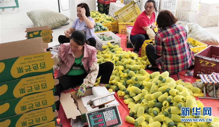 （決戰(zhàn)決勝脫貧攻堅(jiān)&middot;圖文互動(dòng)）（3）同飲一江水 攜手&ldquo;斬窮根&rdquo;&mdash;&mdash;深圳對(duì)口廣西河池、百色扶貧協(xié)作見聞