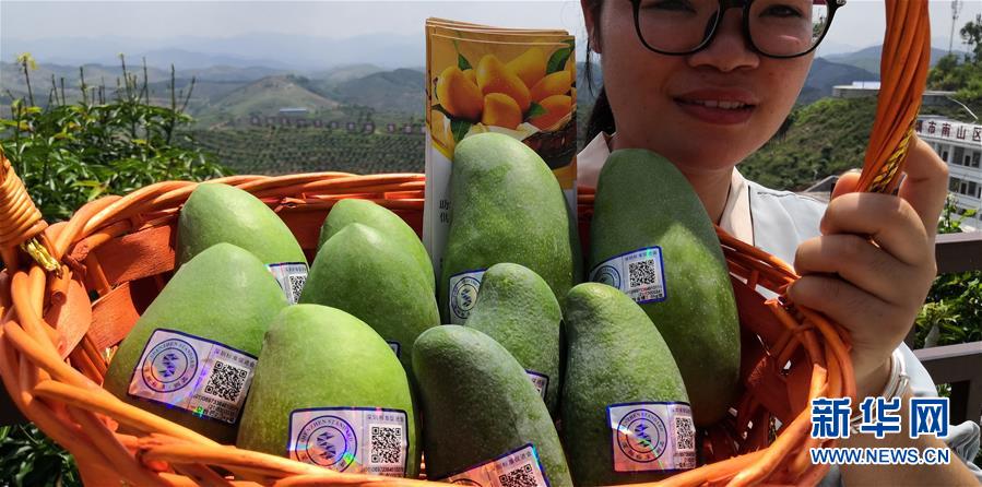 （決戰(zhàn)決勝脫貧攻堅(jiān)&middot;圖文互動(dòng)）（7）同飲一江水 攜手&ldquo;斬窮根&rdquo;&mdash;&mdash;深圳對(duì)口廣西河池、百色扶貧協(xié)作見聞